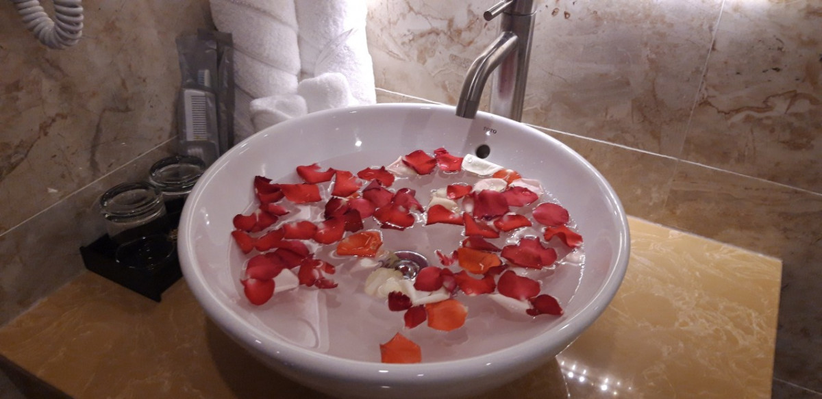 SEN VANG LUXURY HOTEL фото 7