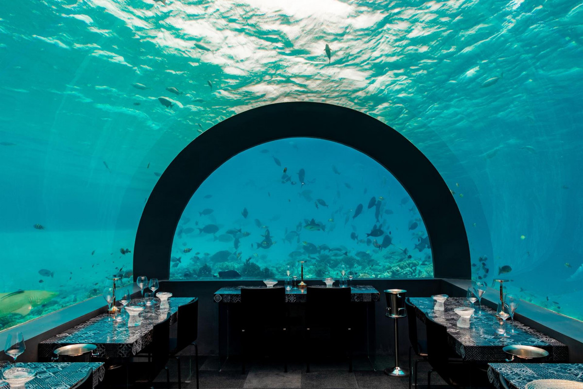 YOU & ME BY COCOON MALDIVES фото 7