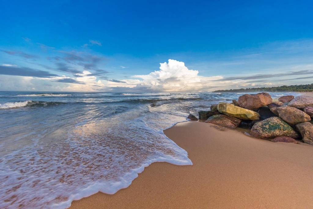 VINPEARL WONDERWORLD PHU QUOC (EX. VINPEARL DISCOVERY 1) фото 8