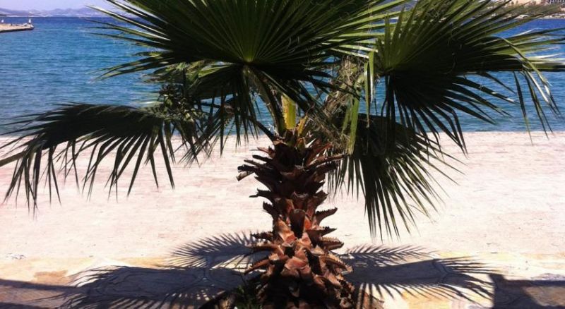 MARVEL BEACH HOTEL фото 8