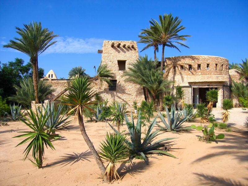 RIADH MENINX DJERBA фото 4