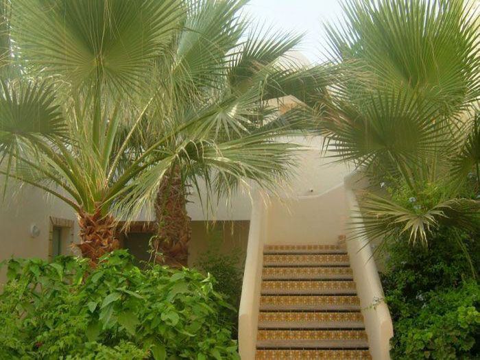 COMPLEX KHAYAM фото 2