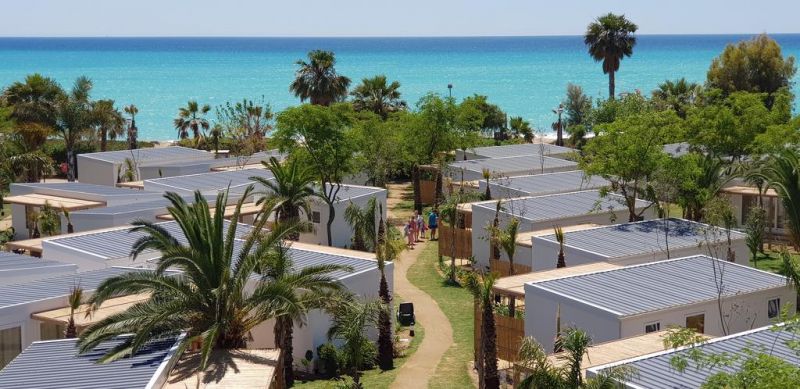CAMPING ALANNIA ELS PRATS фото 2