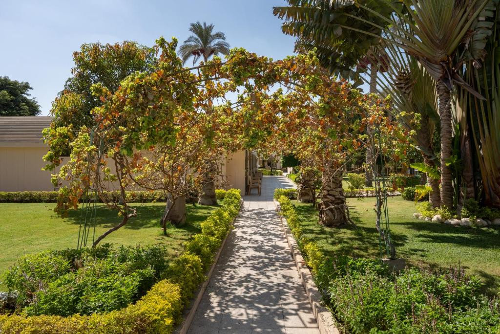JAZ PYRAMIDS RESORT (EX. THE OASIS) фото 8