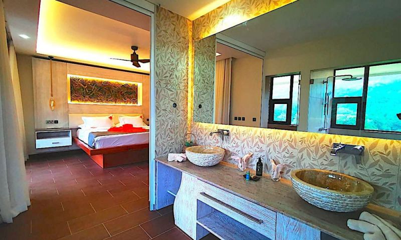 VILLA 360 LUXE LE DUC DE PRASLIN фото 3