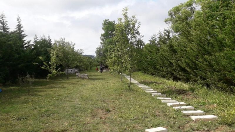 VIRA CREEK HOUSE & VIRA GARDEN HOUSE BUNGALOW фото 3