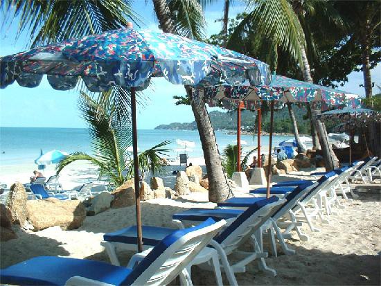 SEASCAPE BEACH RESORT фото 4