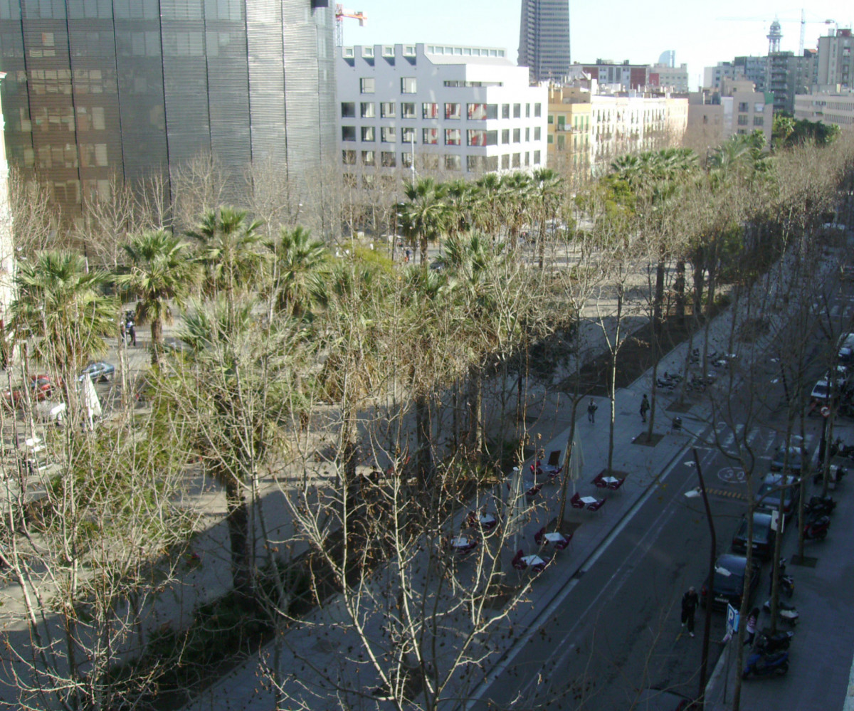 ABBA RAMBLA фото 4