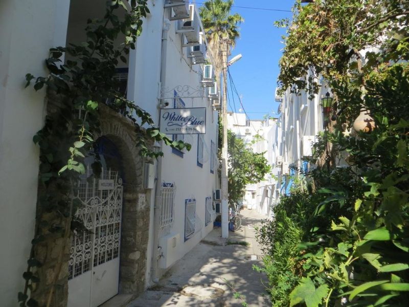 WHITE AND BLUE BODRUM фото 3