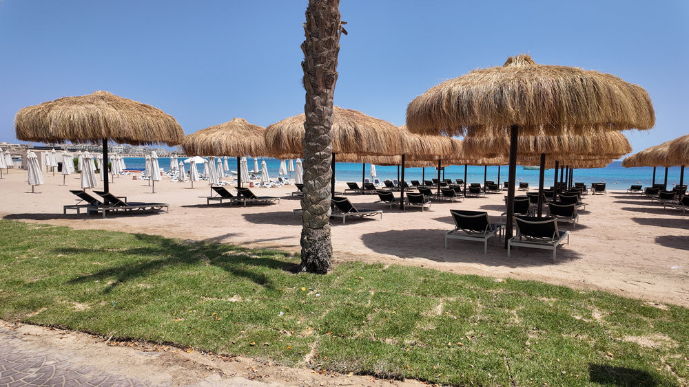 AL KASR фото 8