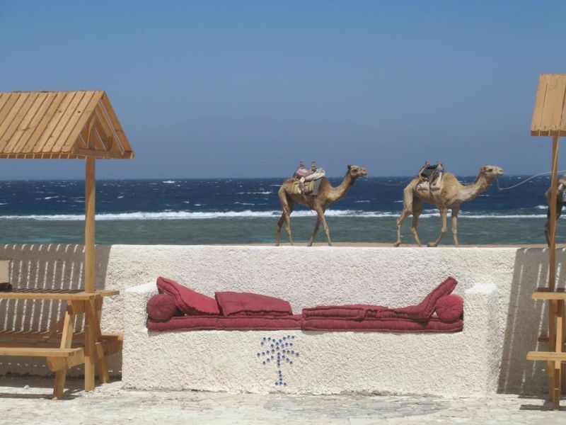 DANIELA DIVING RESORT DAHAB (DANIELA VILLAGE) фото 6