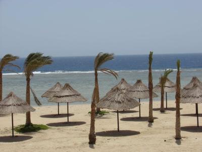 DIMA BEACH RESORT фото 3