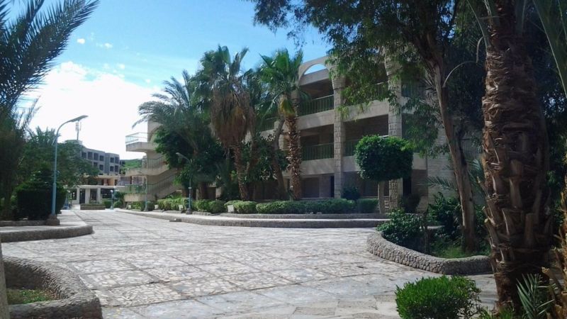 HOR PALACE фото 7