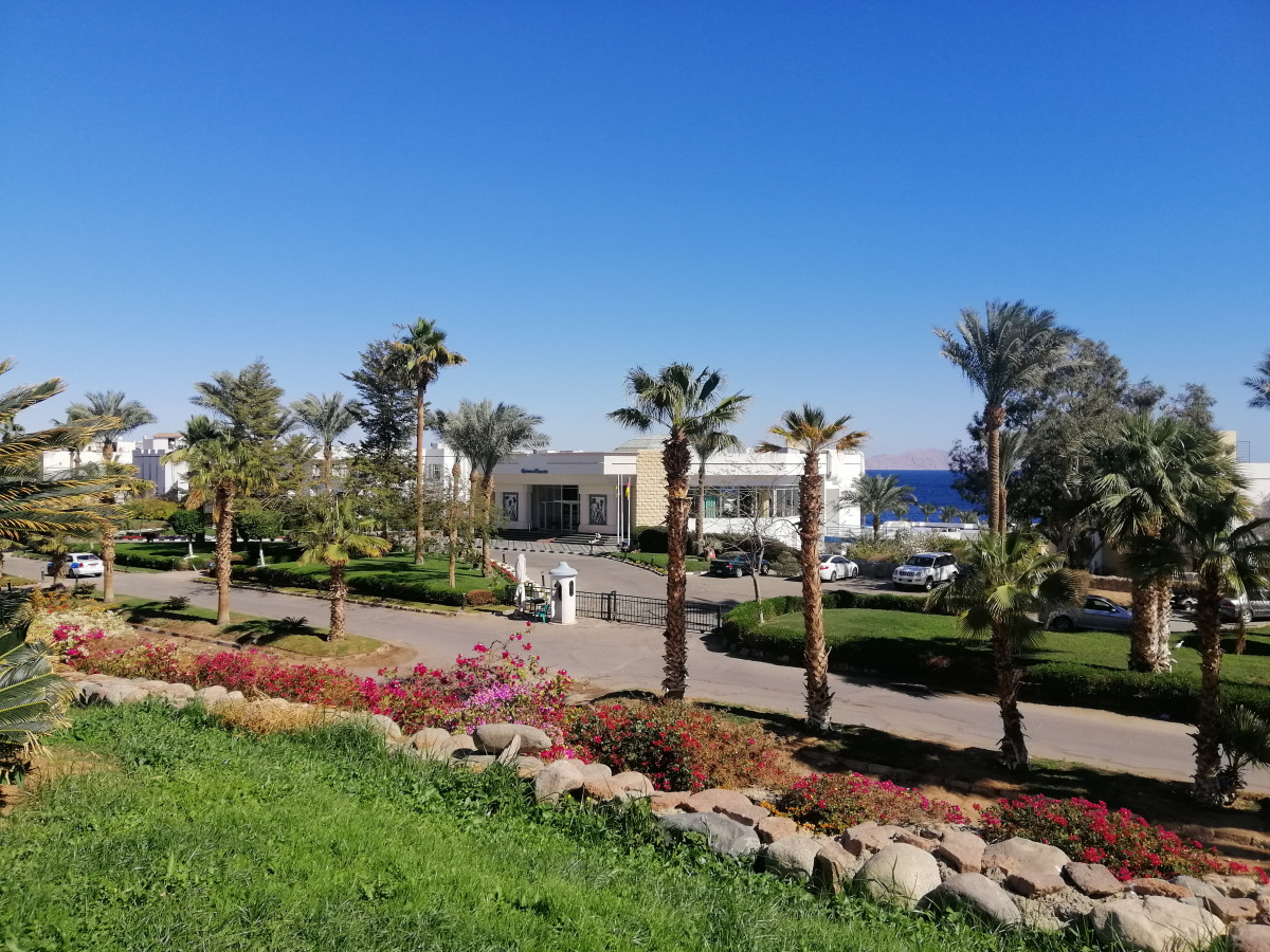 QUEEN SHARM RESORT VIEW фото 3