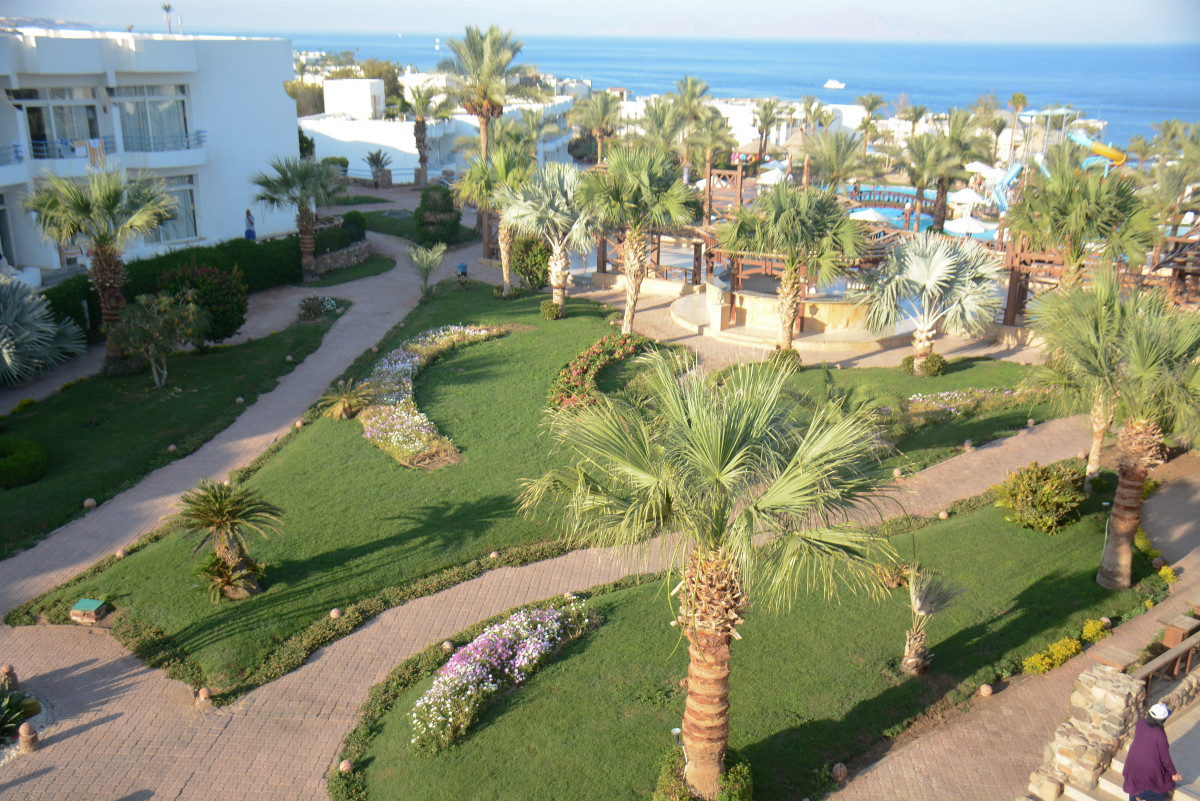 QUEEN SHARM RESORT VIEW фото 4