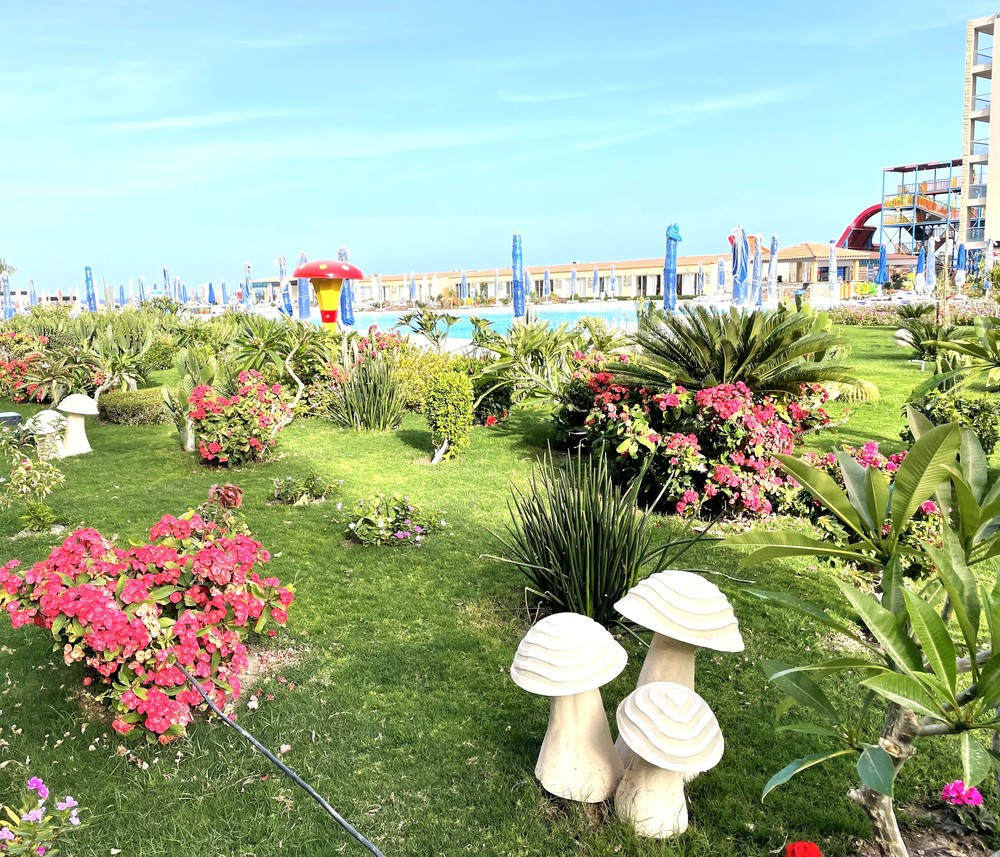 REWAYA LUXURY RESORT фото 4