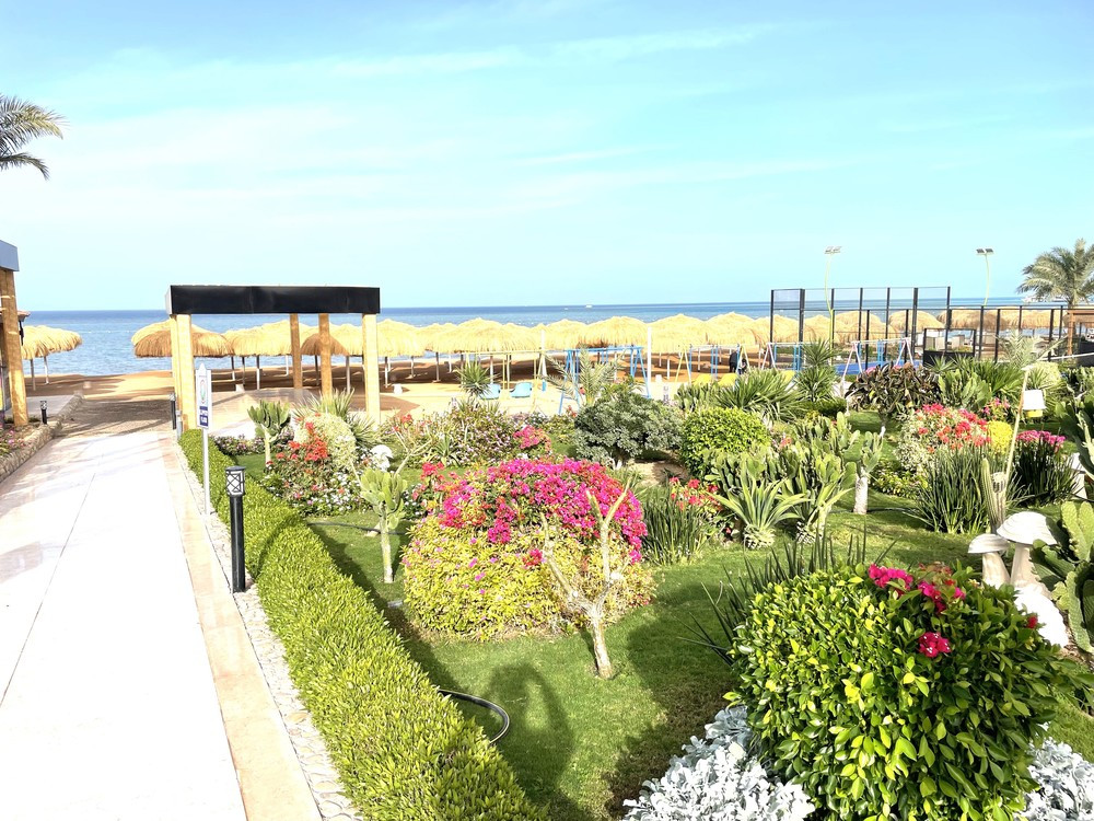 REWAYA LUXURY RESORT фото 5