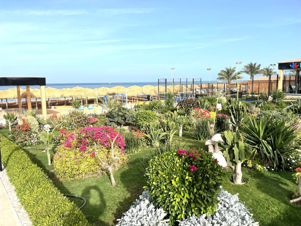 REWAYA LUXURY RESORT фото 6