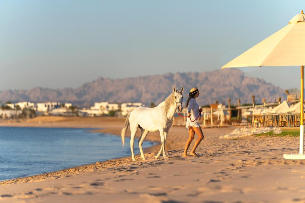RIXOS PREMIUM MAGAWISH BAY VIEW фото 5