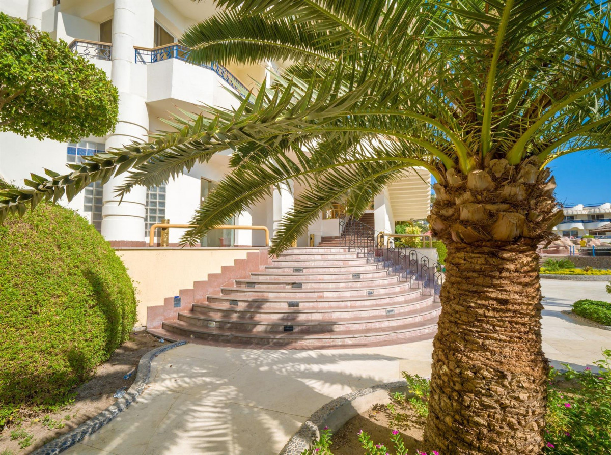 SEAGULL BEACH RESORT & CLUB фото 6
