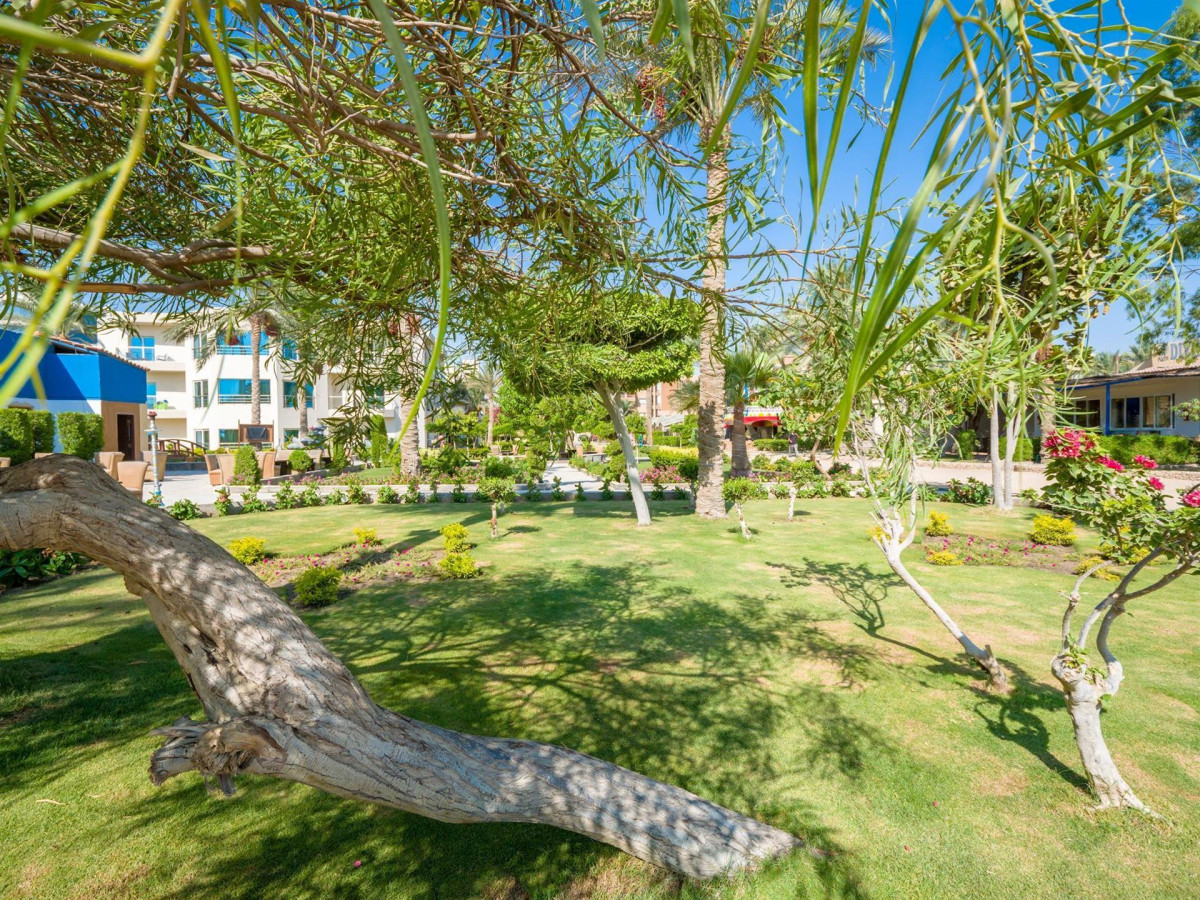 SEAGULL BEACH RESORT & CLUB фото 7