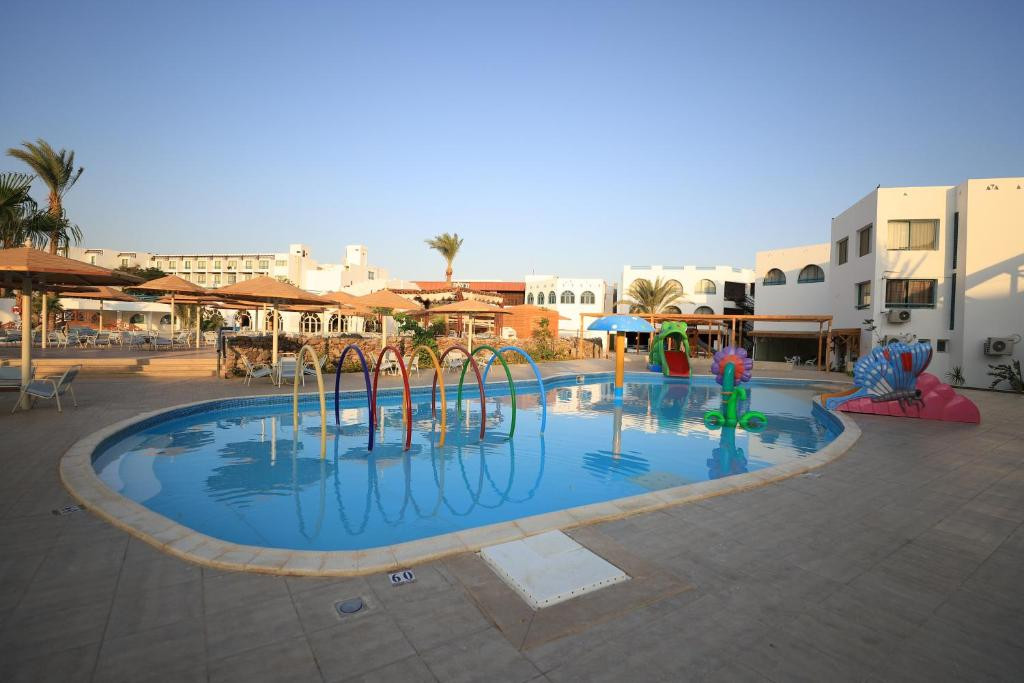 SHAMS SAFAGA фото 6