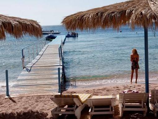 SHARKS BAY UMBI DIVING VILLAGE фото 4