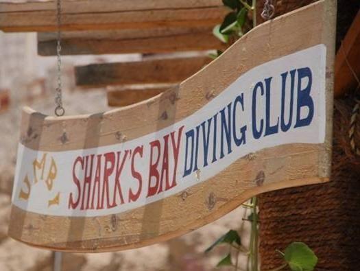 SHARKS BAY UMBI DIVING VILLAGE фото 7