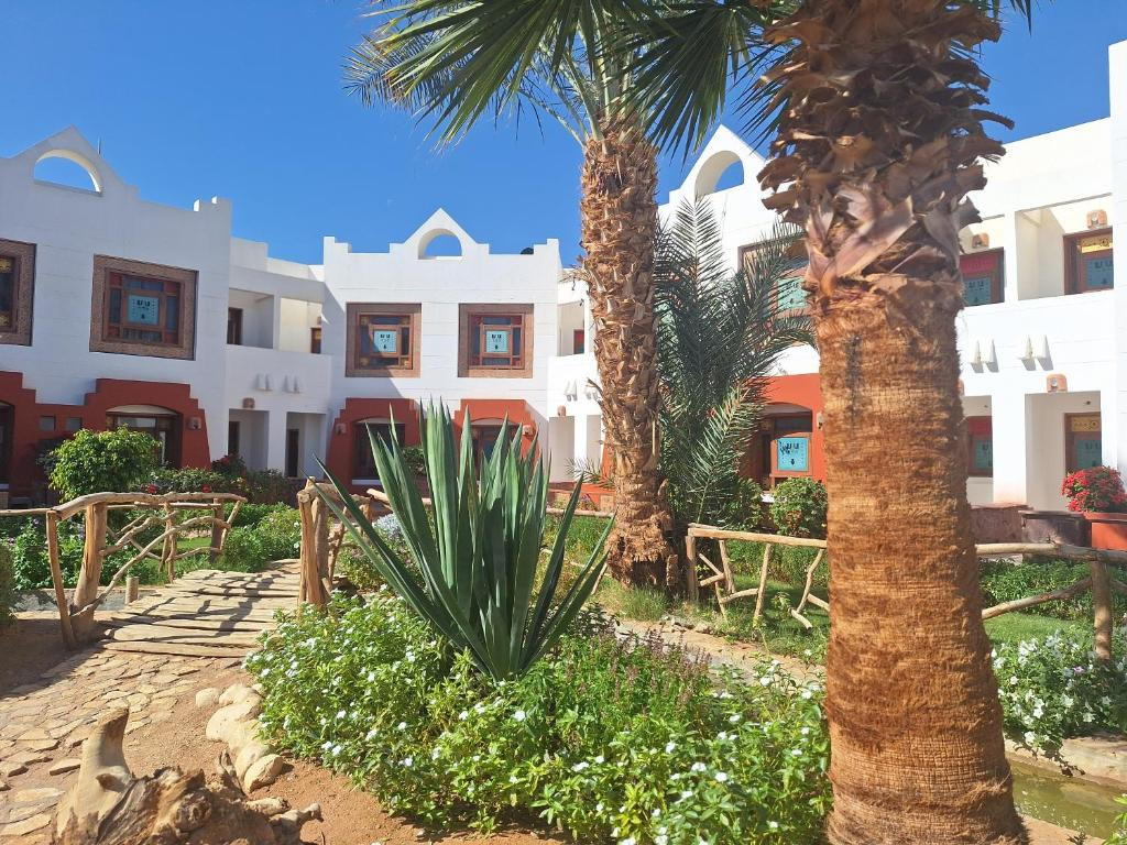 SHARM INN AMAREIN фото 4