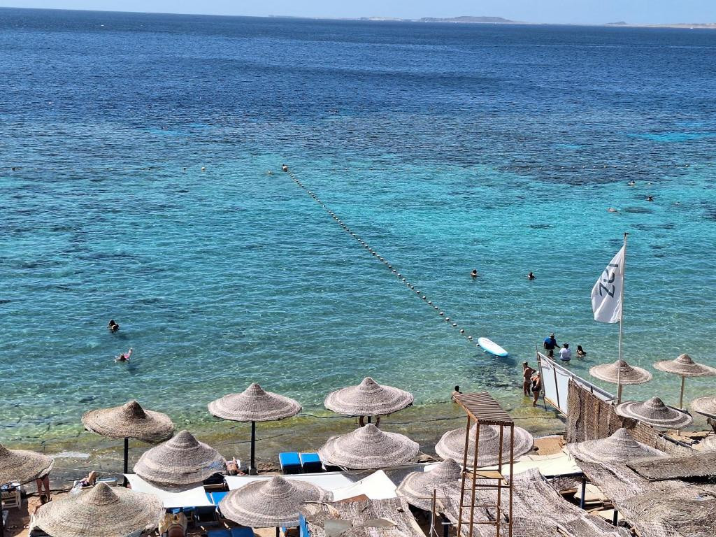 SHARM INN AMAREIN фото 7