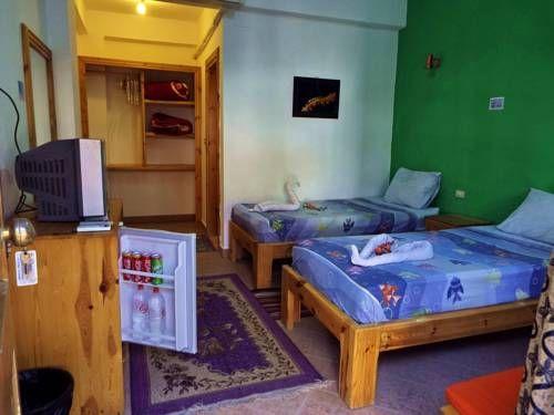 STAR OF DAHAB фото 5