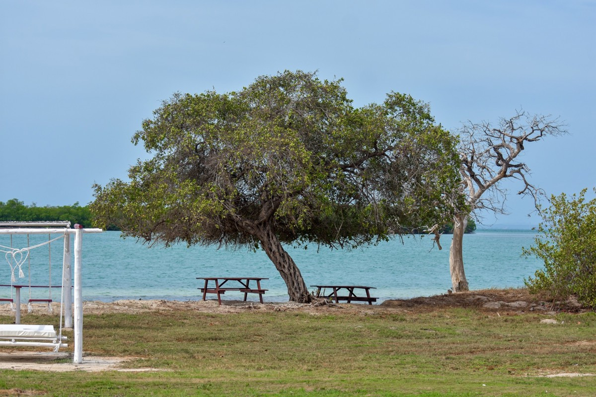 PLAYA LUXURY VARADERO ADULTS ONLY 18+ фото 5