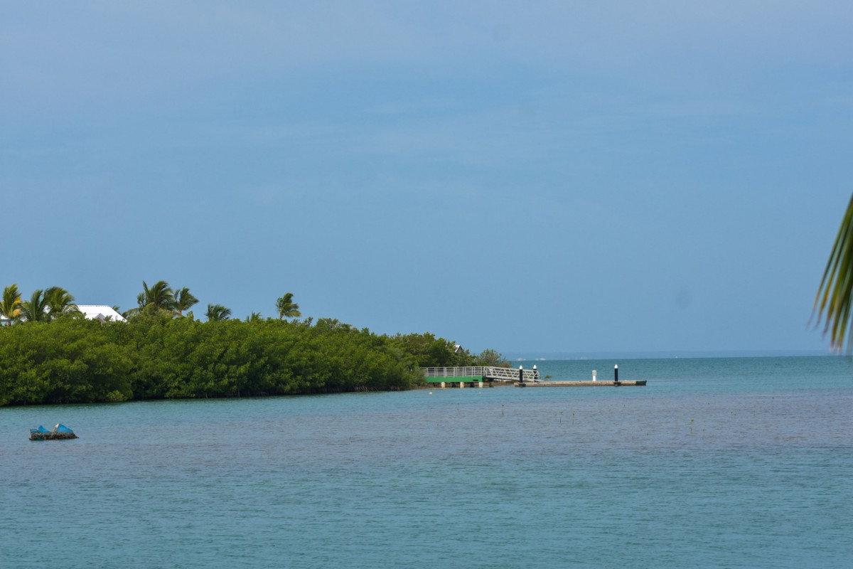 PLAYA LUXURY VARADERO ADULTS ONLY 18+ фото 8