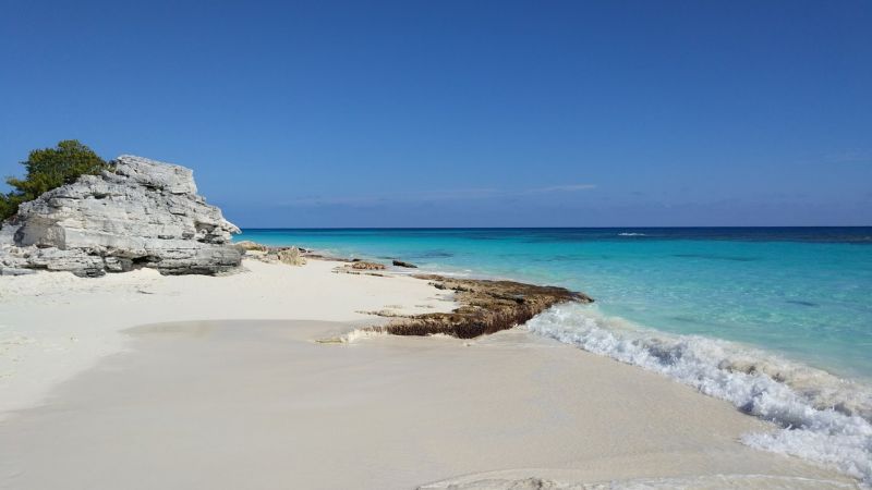 ISLA DEL SUR фото 4