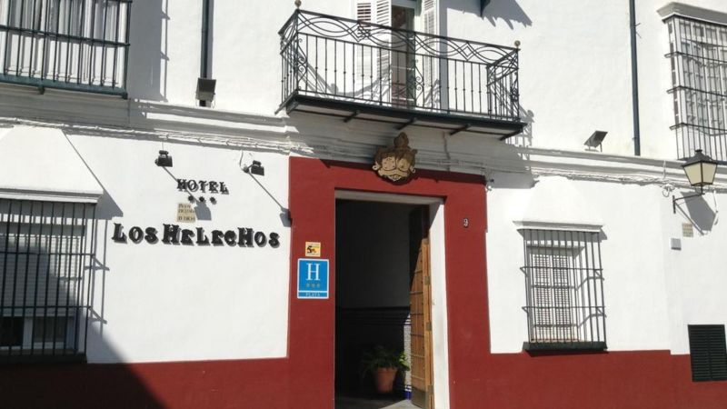 LOS HELECHOS фото 5