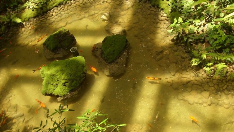 PALCO фото 7