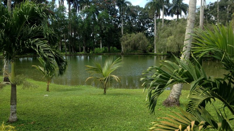 VILLA ISLAZUL SAN JOSE DEL LAGO фото 6