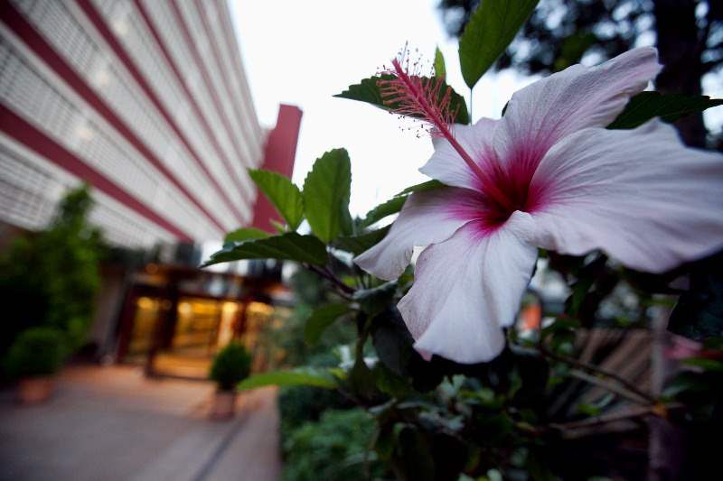 BENILUX PARK фото 6