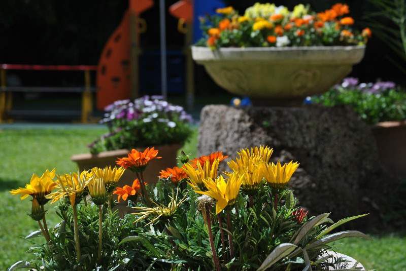 BENILUX PARK фото 7