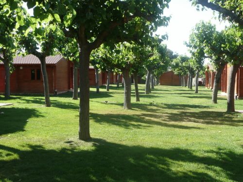 CAMPING LA LLOSA фото 3