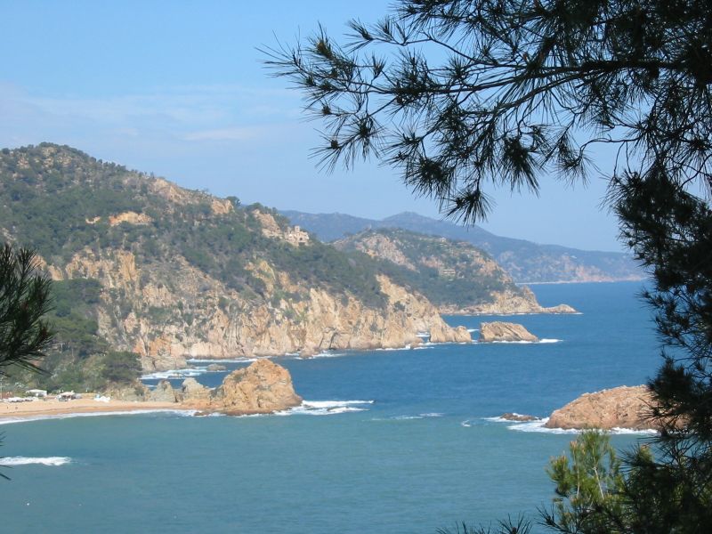 CHECKIN EXPRESS COSTA BRAVA-MARESME фото 4