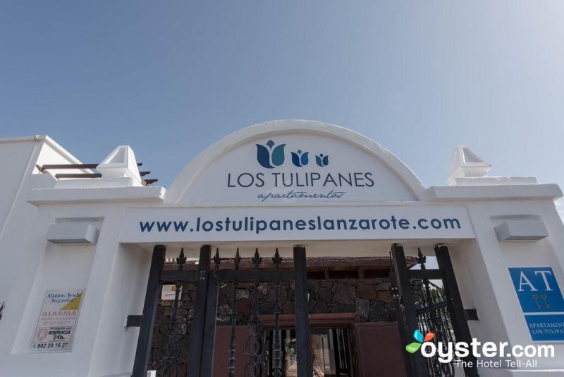 LOS TULIPANES фото 6