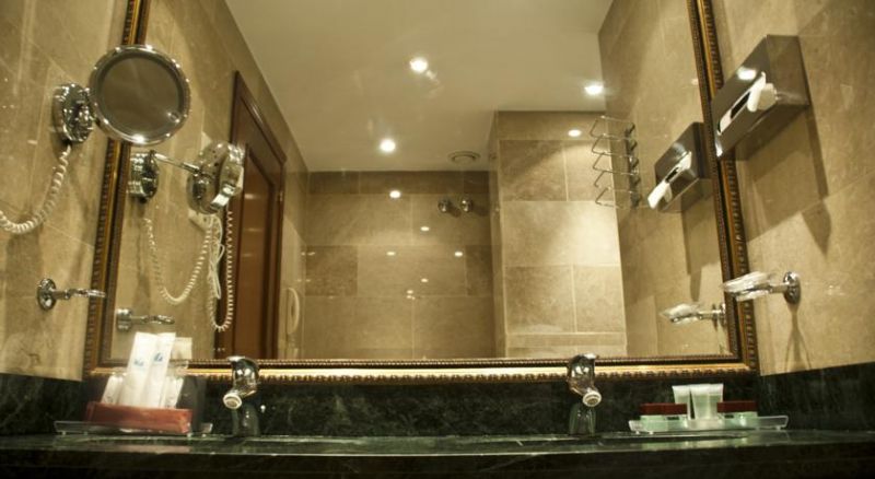 PARK PLAZA SUITES фото 4