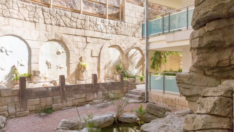 PIERRE & VACANCES ALTEA BEACH APT фото 4