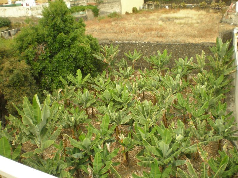 TEJUMA фото 5