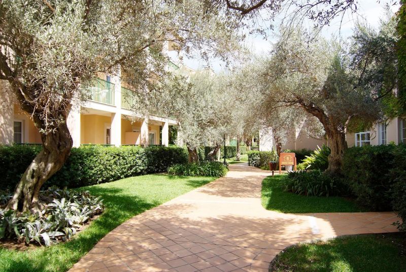 ZAFIRO CALA MESQUIDA & SPA (EX. VIVA CALA MESQUIDA CLUB) фото 8