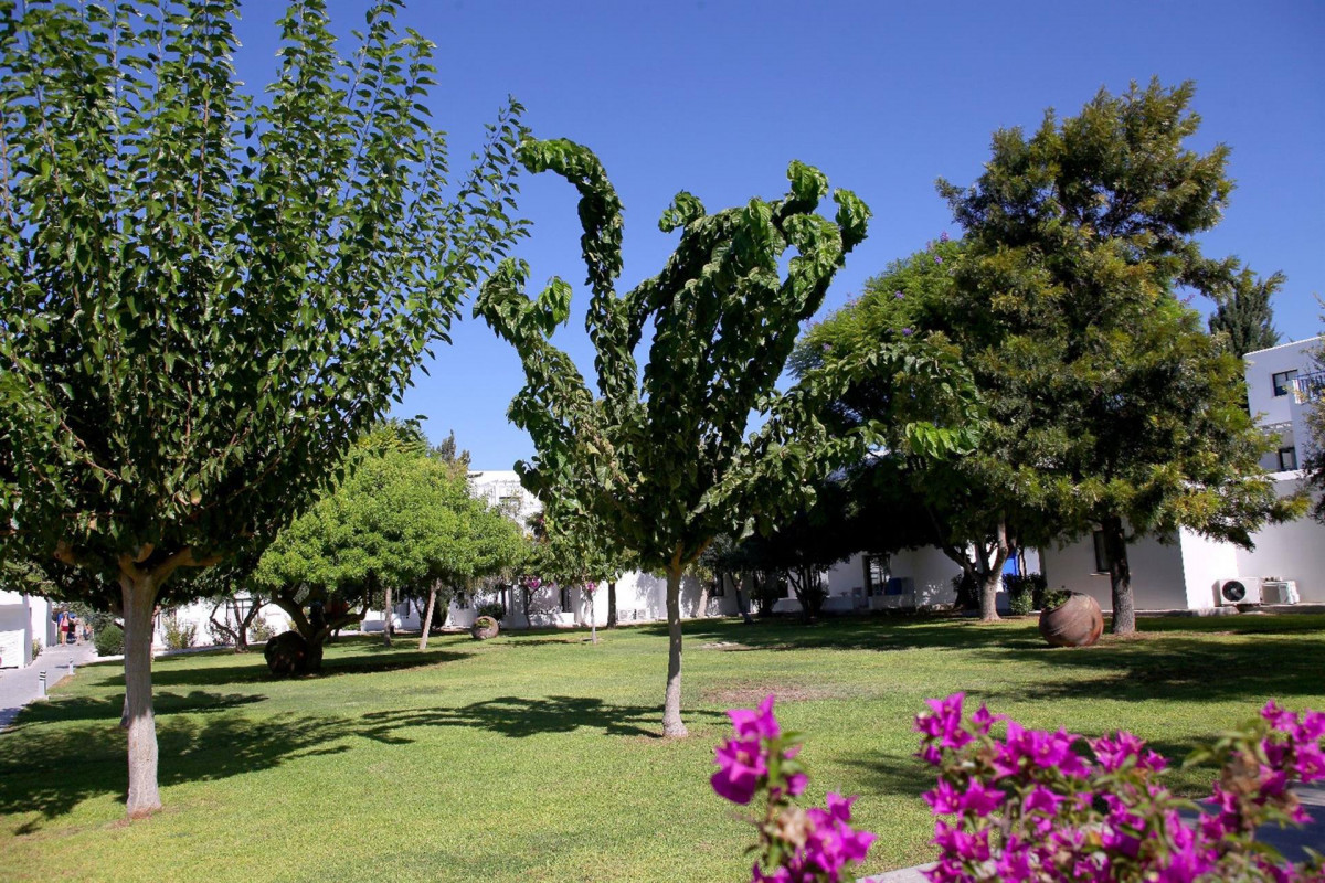 ALIATHON AEGEAN (EX. ALIATHON HOLIDAY VILLAGE) фото 4