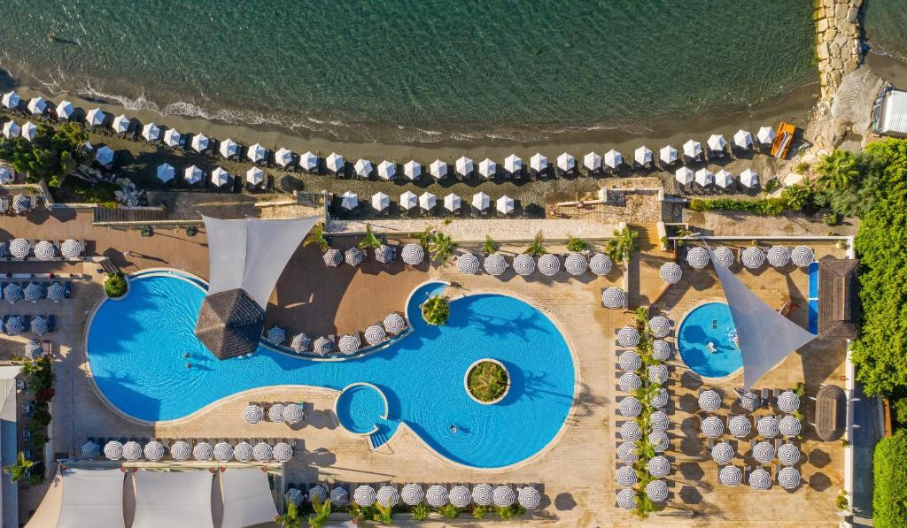 THE ROYAL APOLLONIA