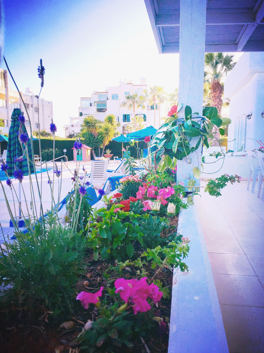 BLUE CRANE APT фото 7
