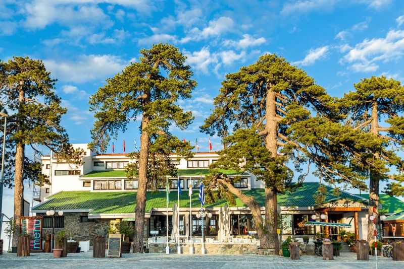 TROODOS фото 2